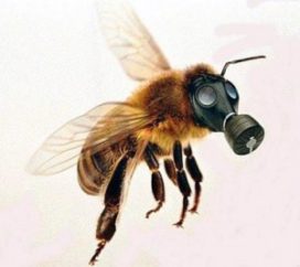 2016-03-bees-gas-mask