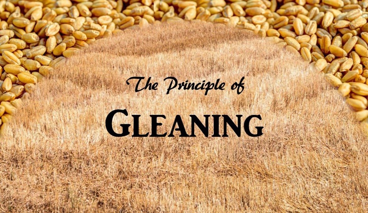 2016 10 Gleaning Principle