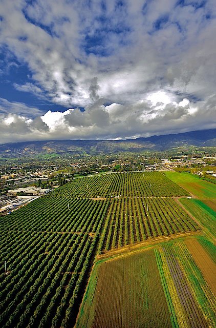 Ventura County farms aerial view