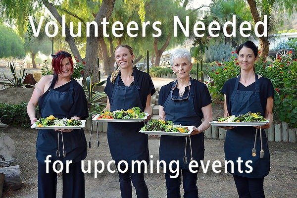 Volunteers at an event