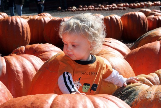 pumpkins-kid